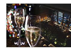 PARK HYATT TOKYO
